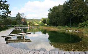 Mitten in der Welt - GH Roither